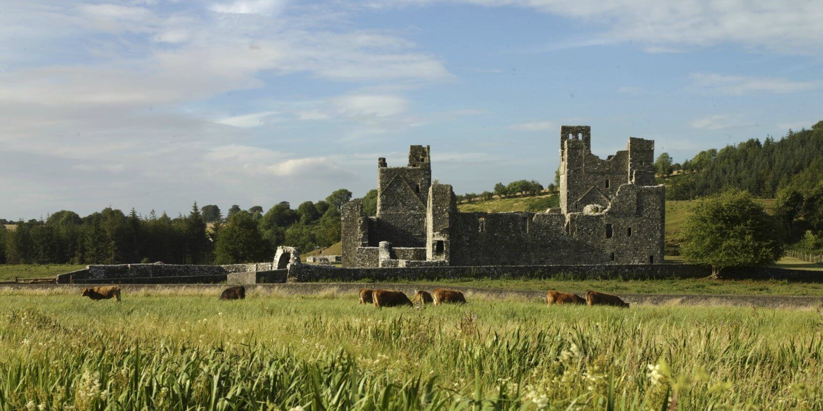 Fore Abbey Tourism Bloomfield House Hotel