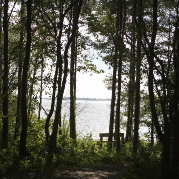 Lough Ennell Hotel Mullingar