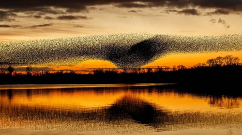Murmuration Experience Overnight Gift Package