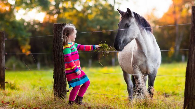 Family friendly hotel midlands