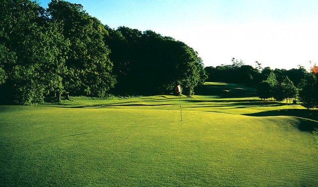 Pitch and Putt Westmeath